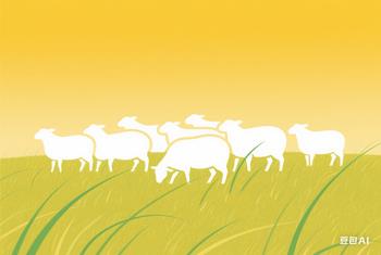 北京云指针科技有限公司